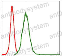 Flow Cytometry for Anti-MMP3 Antibody (R3A71) ?>
