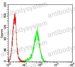 Anti-CD10/MME Antibody (R3A83)