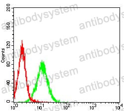Anti-PDHA1 Antibody (R3A91)