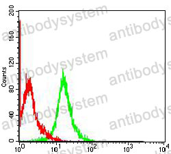 Flow Cytometry for Anti-VIM/Vimentin Antibody (R3B18) ?>