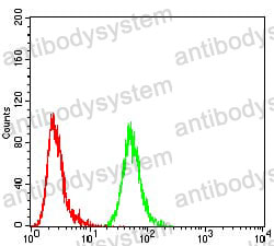 Flow Cytometry for Anti-ANXA5 Antibody (R3B38) ?>