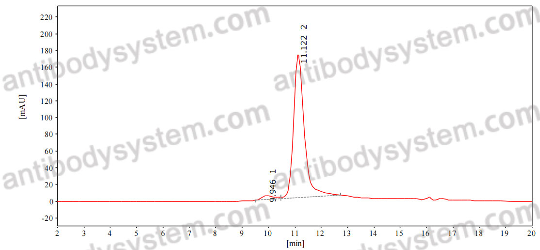 SEC-HPLC for Anti-Human CD143/ACE Antibody (Fs0329) ?>