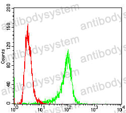 Anti-ETFA Antibody (R3D46)