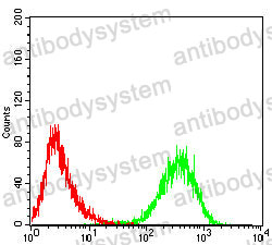 Anti-CD99 Antibody (R3D56)