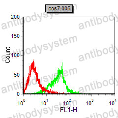 Flow Cytometry for Anti-MMP9 Antibody (R3D69) ?>
