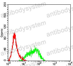 Anti-CD155/PVR Antibody (R3D88)