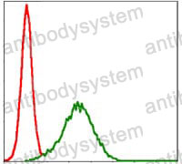 Flow Cytometry for Anti-NQO1 Antibody (R3E11) ?>