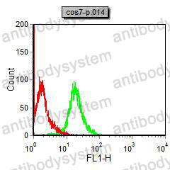 Flow Cytometry for Anti-NQO1 Antibody (R3E11) ?>