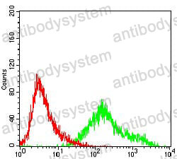 Flow Cytometry for Anti-CCNA2 Antibody (R3F57) ?>