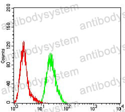 Anti-SDHB Antibody (R3F99)
