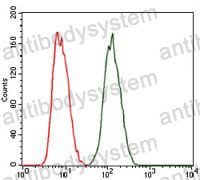 Flow Cytometry for Anti-PRKACG Antibody (R3G17) ?>