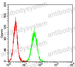 Anti-GATA3 Antibody (R3G46)