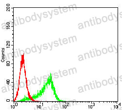 Anti-CPT2 Antibody (R3G49)