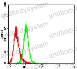 Anti-CPT2 Antibody (R3G48)