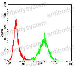 Flow Cytometry for Anti-HSPA4/HSP70 Antibody (R3J61) ?>