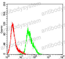 Flow Cytometry for Anti-CTNNB1 Antibody (R3J68) ?>