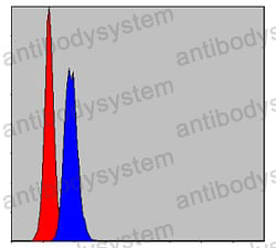 Anti-PHB Antibody (R3J73)