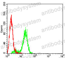 Flow Cytometry for Anti-KRT9 Antibody (R3J78) ?>
