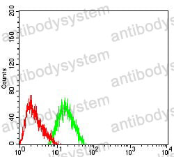 Anti-CHRNA7 Antibody (R3K06)