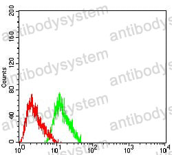 Anti-CHRNA7 Antibody (R3K05)