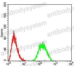Anti-CD130/IL6ST/gp130 Antibody (R3K24)