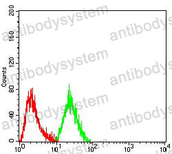 Anti-CDKN2A/p16INK4a Antibody (R3K97)