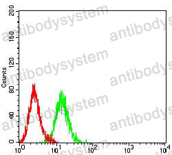 Flow Cytometry for Anti-P2RY1 Antibody (R3L61) ?>