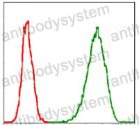 Flow Cytometry for Anti-MCM2 Antibody (R3L97) ?>