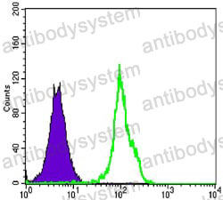 Anti-BLK Antibody (R3M49)