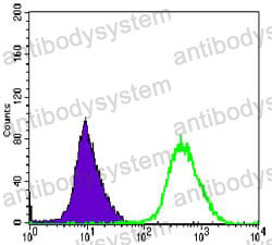 Flow Cytometry for Anti-MAP2K6 Antibody (R3M79) ?>
