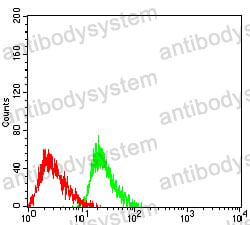 Flow Cytometry for Anti-ATXN1 Antibody (R3N09) ?>