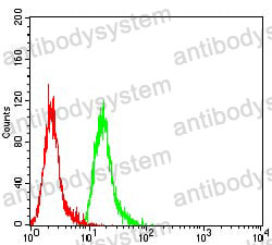 Flow Cytometry for Anti-CASP6 Antibody (R3N38) ?>