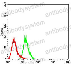 Flow Cytometry for Anti-UCP2 Antibody (R3N46) ?>