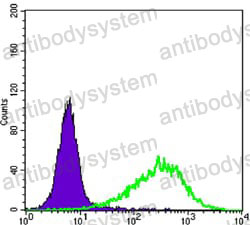 Flow Cytometry for Anti-RAB25 Antibody (R3N70) ?>