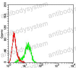 Flow Cytometry for Anti-ACTR3 Antibody (R3N87) ?>