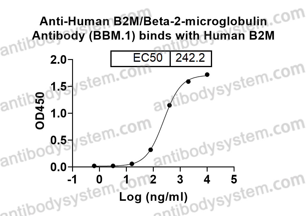 Bioactivity for Anti-Human B2M/Beta-2-microglobulin Antibody (BBM.1) ?>