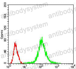 Flow Cytometry for Anti-PPP1CB Antibody (R3P05) ?>