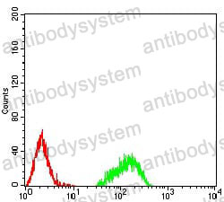 Anti-HIST2H4A (20Me3) Antibody (R3P20)