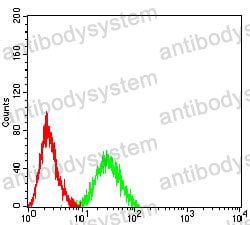 Anti-CD339/JAG1 Antibody (R3P77)