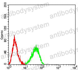Anti-CD339/JAG1 Antibody (R3P78)