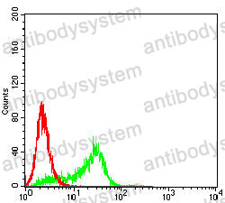 Anti-CD156b/ADAM17 Antibody (R3P82)