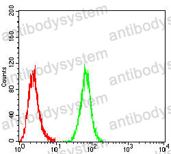 Anti-MUC5AC Antibody (R3Q04)