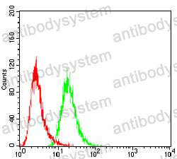 Anti-MDM2 Antibody (R3Q25)