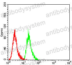 Anti-MDM2 Antibody (R3Q27)