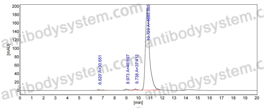 Anti-Cav1.2/1.3 Ca2+ channel Antibody (L57/46)