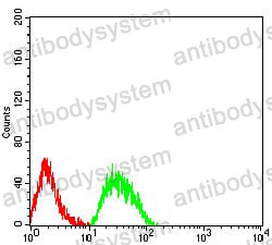 Flow Cytometry for Anti-CHRNE Antibody (R3R05) ?>