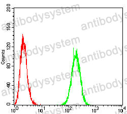 Anti-CD47/MER6 Antibody (R3R71)