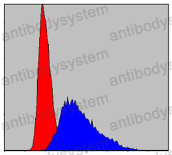Flow Cytometry for Anti-ITK Antibody (R3R74) ?>