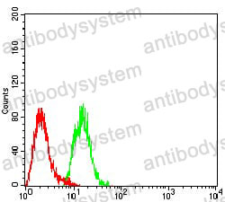 Anti-MTA1 Antibody (R3S36)