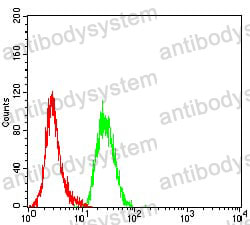 Anti-MSLN/Mesothelin Antibody (R3S42)